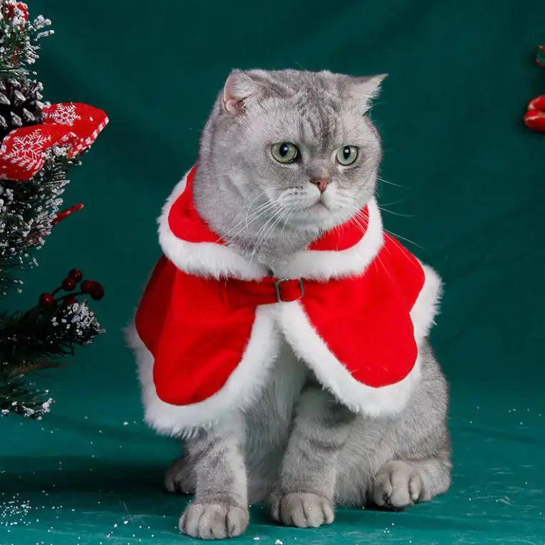 Christmas Cat Outfit