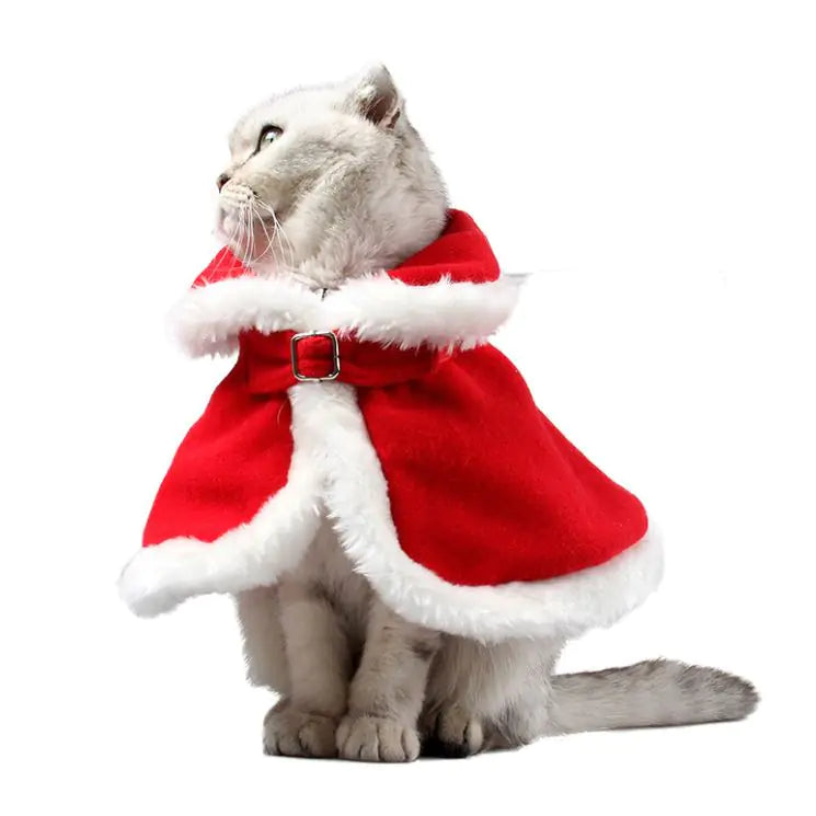 Christmas Cat Outfit