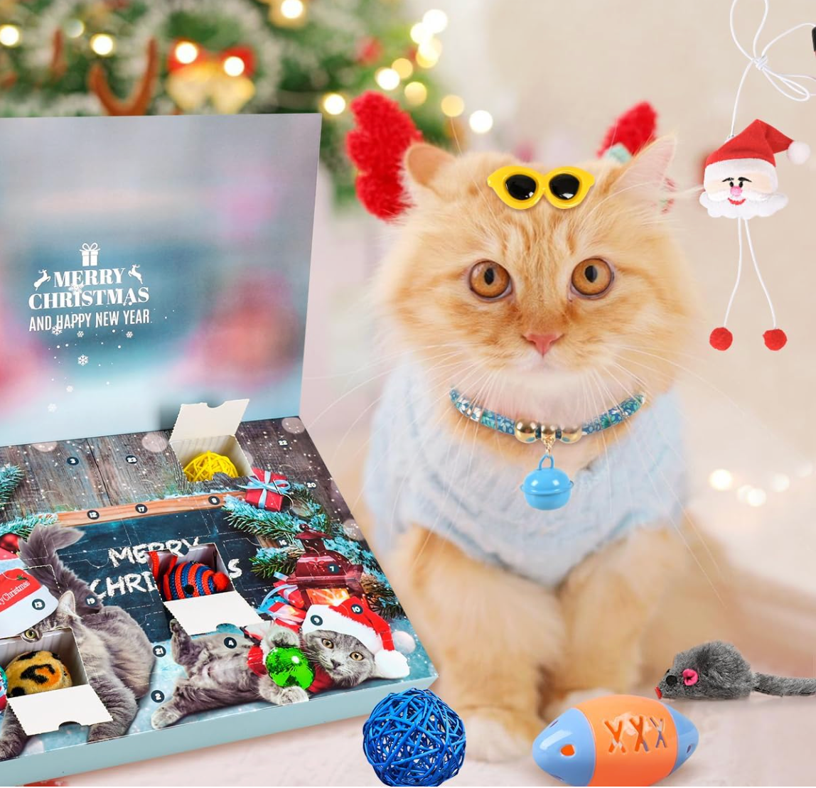 Cat Advent Calendar
