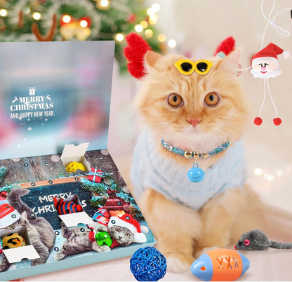 Cat Advent Calendar