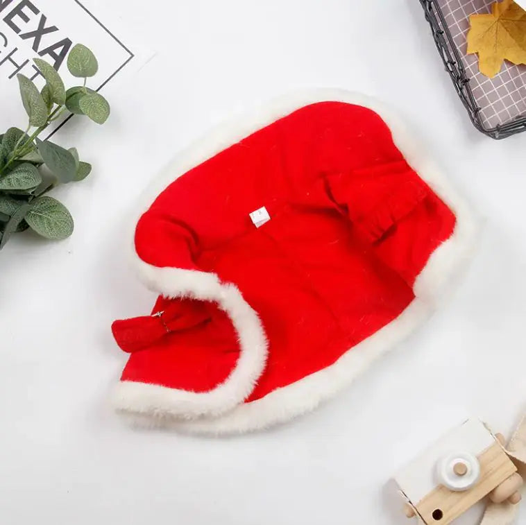 Christmas Cat Outfit